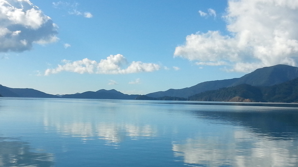 The Marlborough Sounds with calm water and bush covered hill backdrop is a unique and beautiful part of Marlborough.