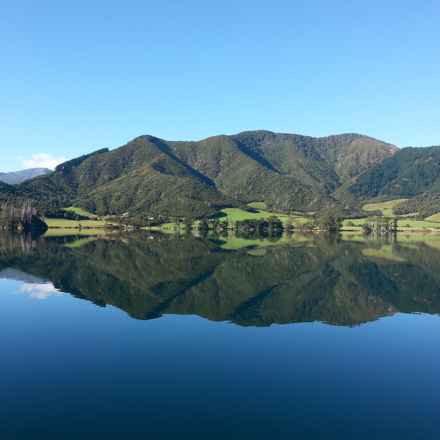 Panoramic shot of Hopai Bay including farmland, bush and water.