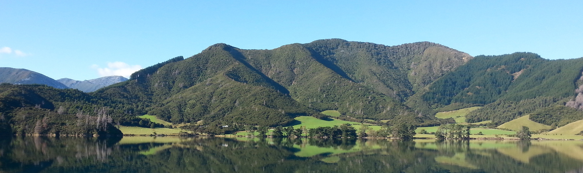 Panoramic shot of Hopai Bay including farmland, bush and water.