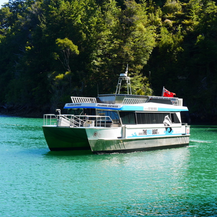 Our Pelorus Mail Run Cruise in the beautiful blue/green waters of the Pelorus Sound/Te Hoiere with a bush backdrop.